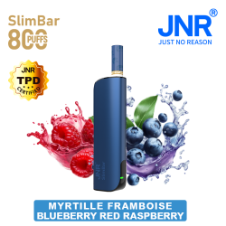 Blueberry Red Raspberry 800 PUFFS - SlimBar JNR