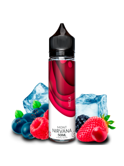 E LIQUIDE MONT NIRVANA MELA 50ML - E.TASTY--alavape.com
