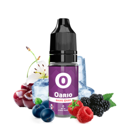 E LIQUIDE GAME OVER OARIO 10ML - E.TASTY--alavape.com
