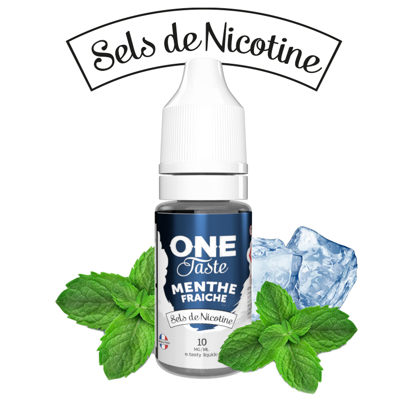 E LIQUIDE ONE TASTE MENTHE FRAICHE SEL DE NICOTINE 10ML - E.TASTY--alavape.com