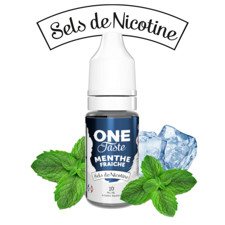 E LIQUIDE ONE TASTE MENTHE FRAICHE SEL DE NICOTINE 10ML - E.TASTY--alavape.com