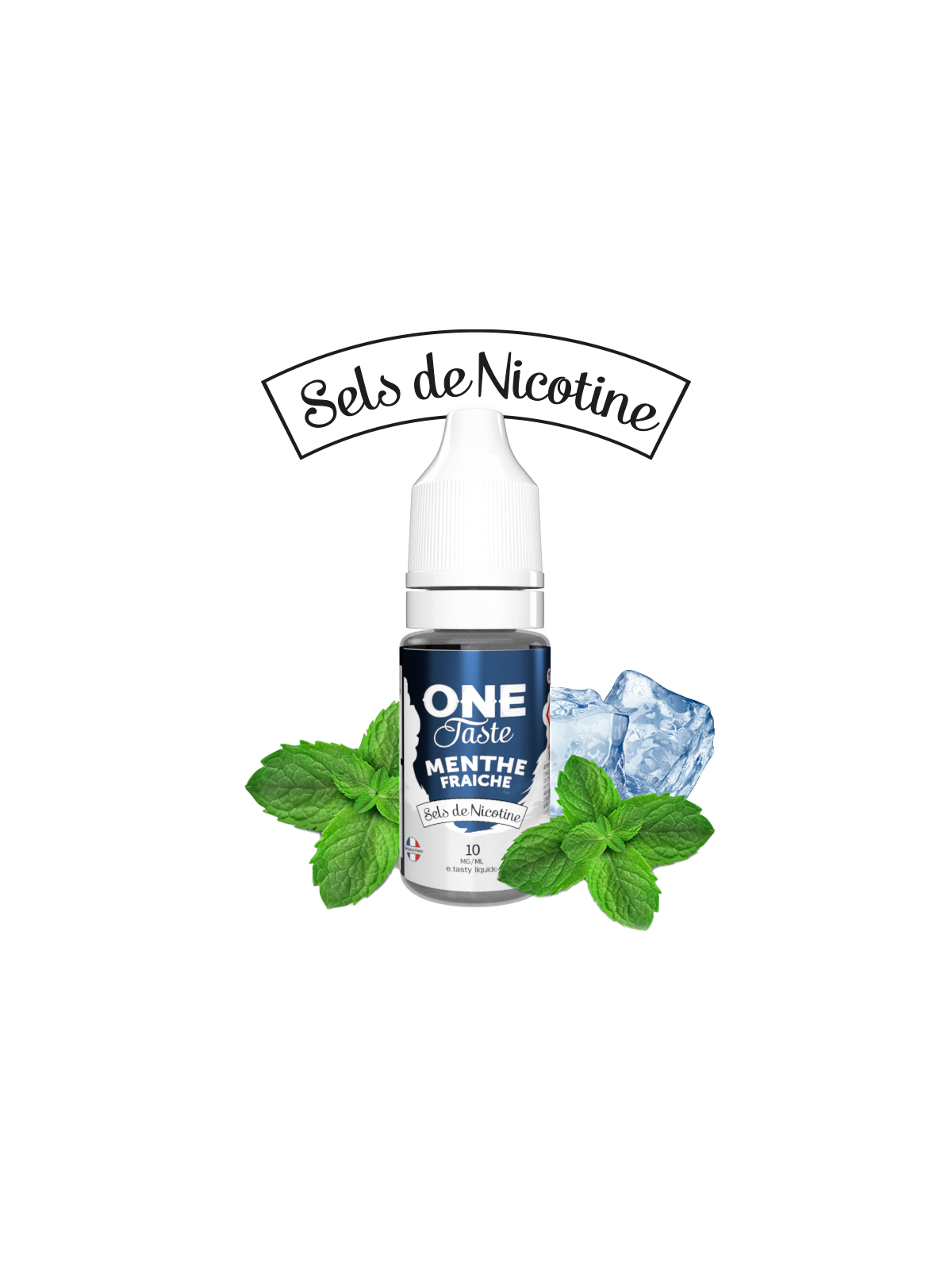 E LIQUIDE ONE TASTE MENTHE FRAICHE SEL DE NICOTINE 10ML - E.TASTY--alavape.com