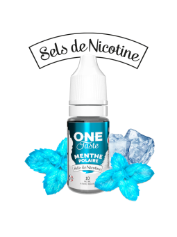 E LIQUIDE ONE TASTE MENTHE POLAIRE SEL DE NICOTINE 10ML - E.TASTY--alavape.com