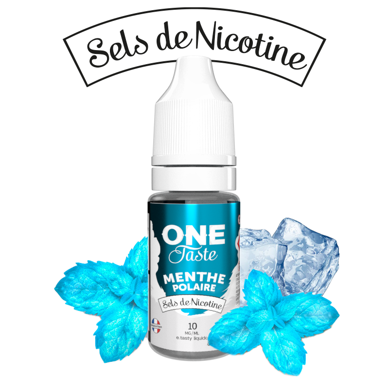 E LIQUIDE ONE TASTE MENTHE POLAIRE SEL DE NICOTINE 10ML - E.TASTY--alavape.com