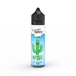 E LIQUIDE SUMMER SPICY FRESH KIPICK 50ML - E.TASTY--alavape.com