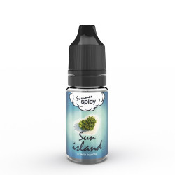E LIQUIDE SUMMER SPICY SUN ISLAND 10ML - E.TASTY--alavape.com