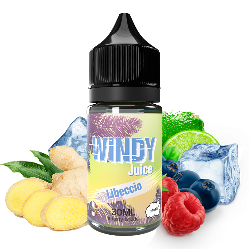 CONCENTRÉ WINDY JUICE LIBECCIO 30ML - E.TASTY-DIY - Do It Yourself-alavape.com