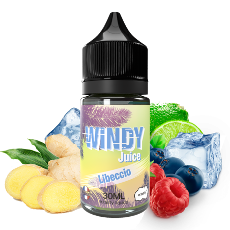 CONCENTRÉ WINDY JUICE LIBECCIO 30ML - E.TASTY-DIY - Do It Yourself-alavape.com