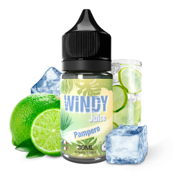 CONCENTRÉ WINDY JUICE PAMPERO 30ML - E.TASTY-DIY - Do It Yourself-alavape.com
