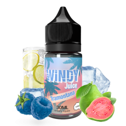 CONCENTRÉ WINDY JUICE TRAMONTANA 30ML - E.TASTY-DIY - Do It Yourself-alavape.com