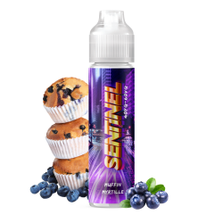 E LIQUIDE CYBER STEAM SENTINEL 50ML - THE FUU--alavape.com