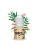 E LIQUIDE FURIOSA VAPOR DRAGON CLOUDS 10ML - VAPE 47--alavape.com