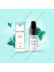 E LIQUIDE ROYKIN MENTHE POLAIRE 10ML - LEVEST--alavape.com