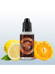CONCENTRÉ WILD FOX 30ML - MEDUSA-DIY - Do It Yourself-alavape.com