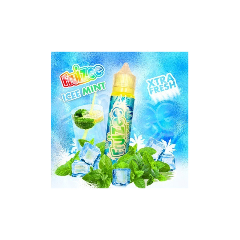 E LIQUIDE ICEE MINT 50ML - FRUIZEE--alavape.com