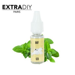 CONCENTRÉ MENTHE - EXTRADIY-DIY - Do It Yourself-alavape.com