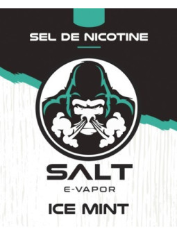 E LIQUIDE ICE MINT 10ML - SALT E VAPOR--alavape.com