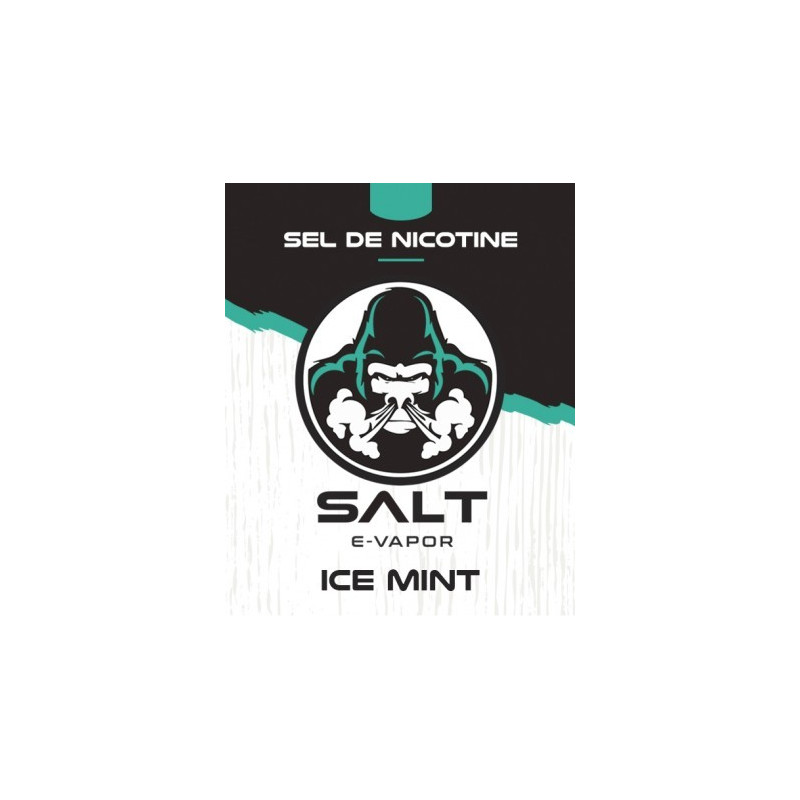 E LIQUIDE ICE MINT 10ML - SALT E VAPOR--alavape.com