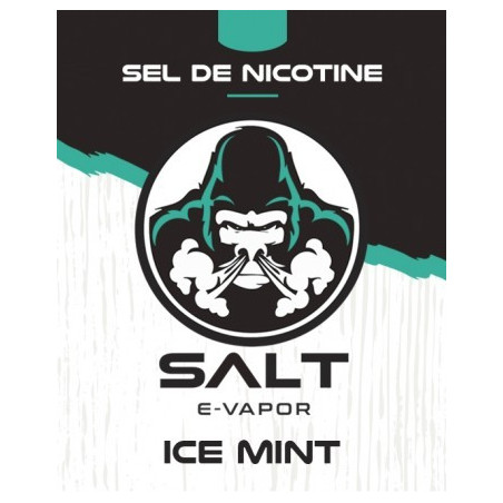 E LIQUIDE ICE MINT 10ML - SALT E VAPOR--alavape.com
