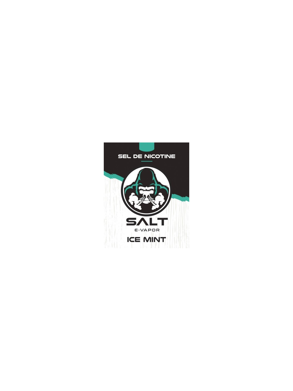 E LIQUIDE ICE MINT 10ML - SALT E VAPOR--alavape.com