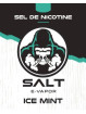 E LIQUIDE ICE MINT 10ML - SALT E VAPOR--alavape.com
