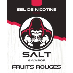 E LIQUIDE FRUITS ROUGES 10ML - SALT E VAPOR--alavape.com