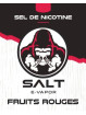 E LIQUIDE FRUITS ROUGES 10ML - SALT E VAPOR--alavape.com