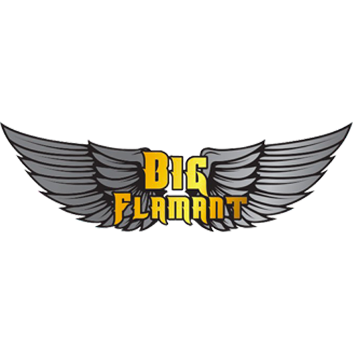 big flamant